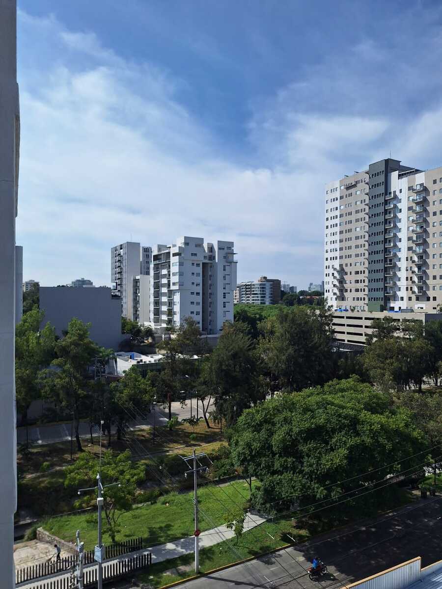 8 de 24