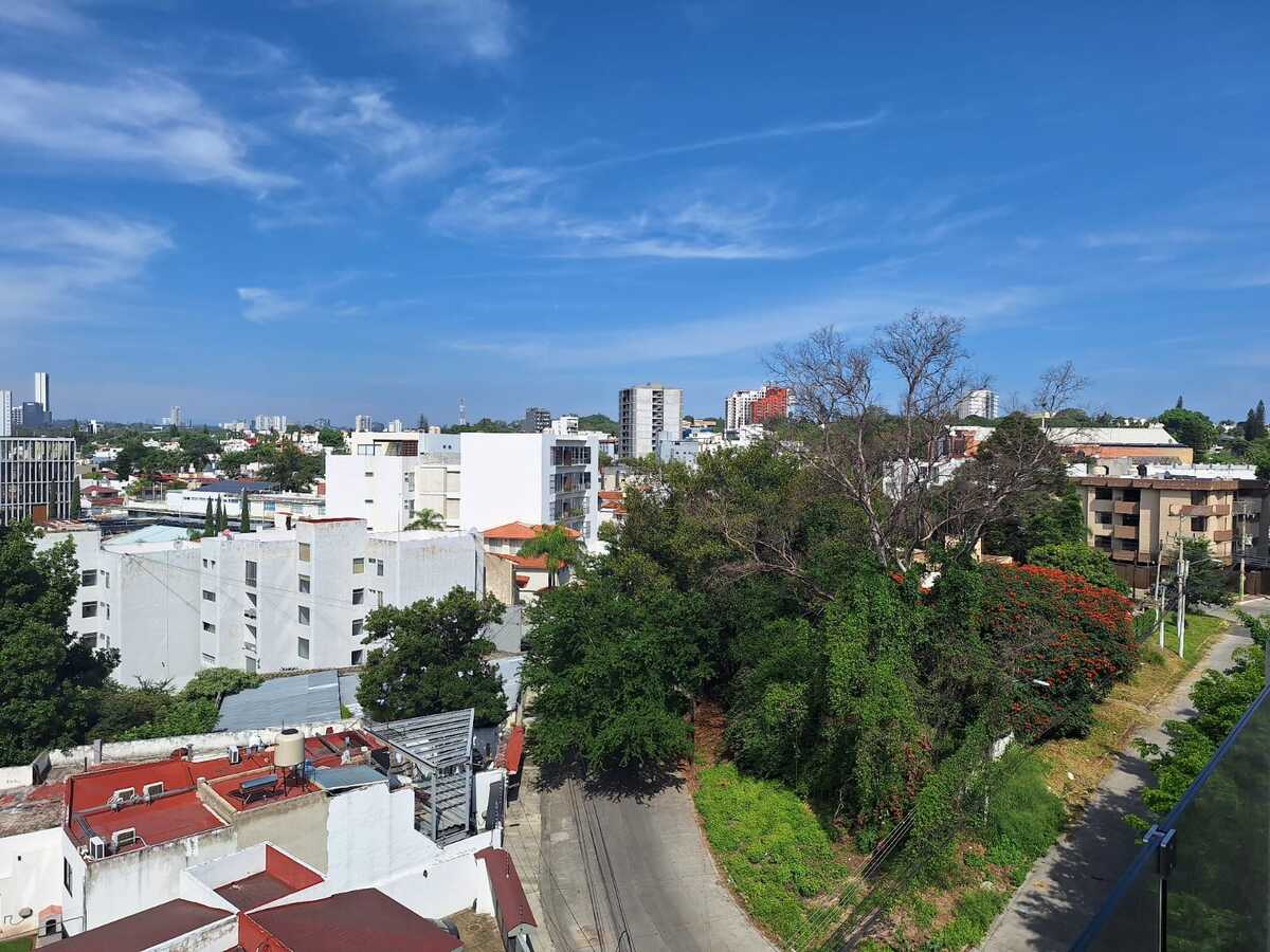 11 de 24