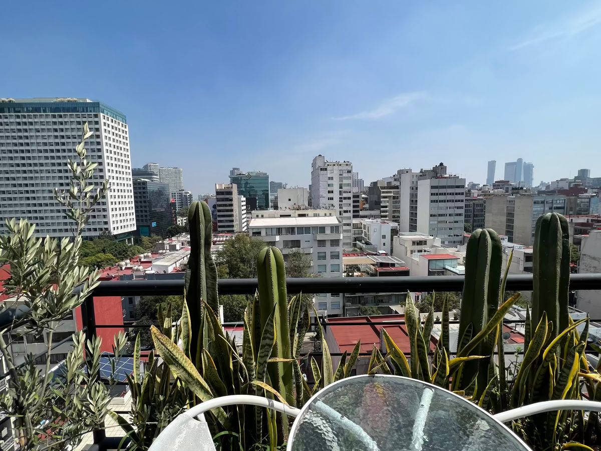 11 de 21