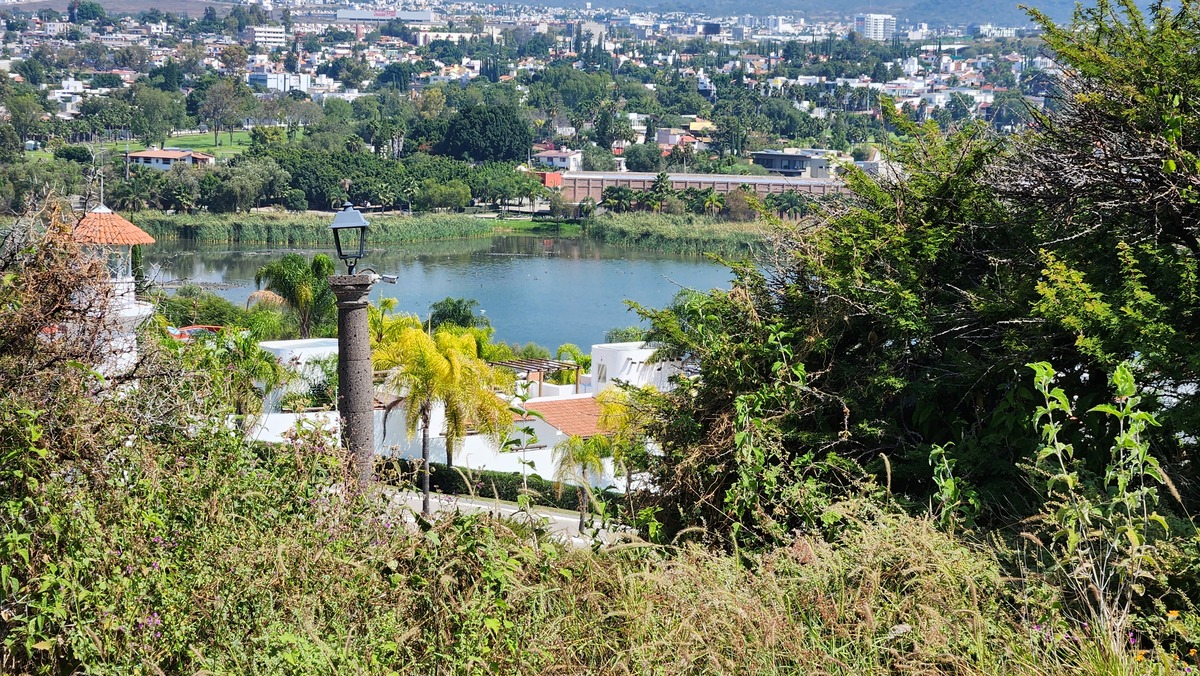 10 de 20