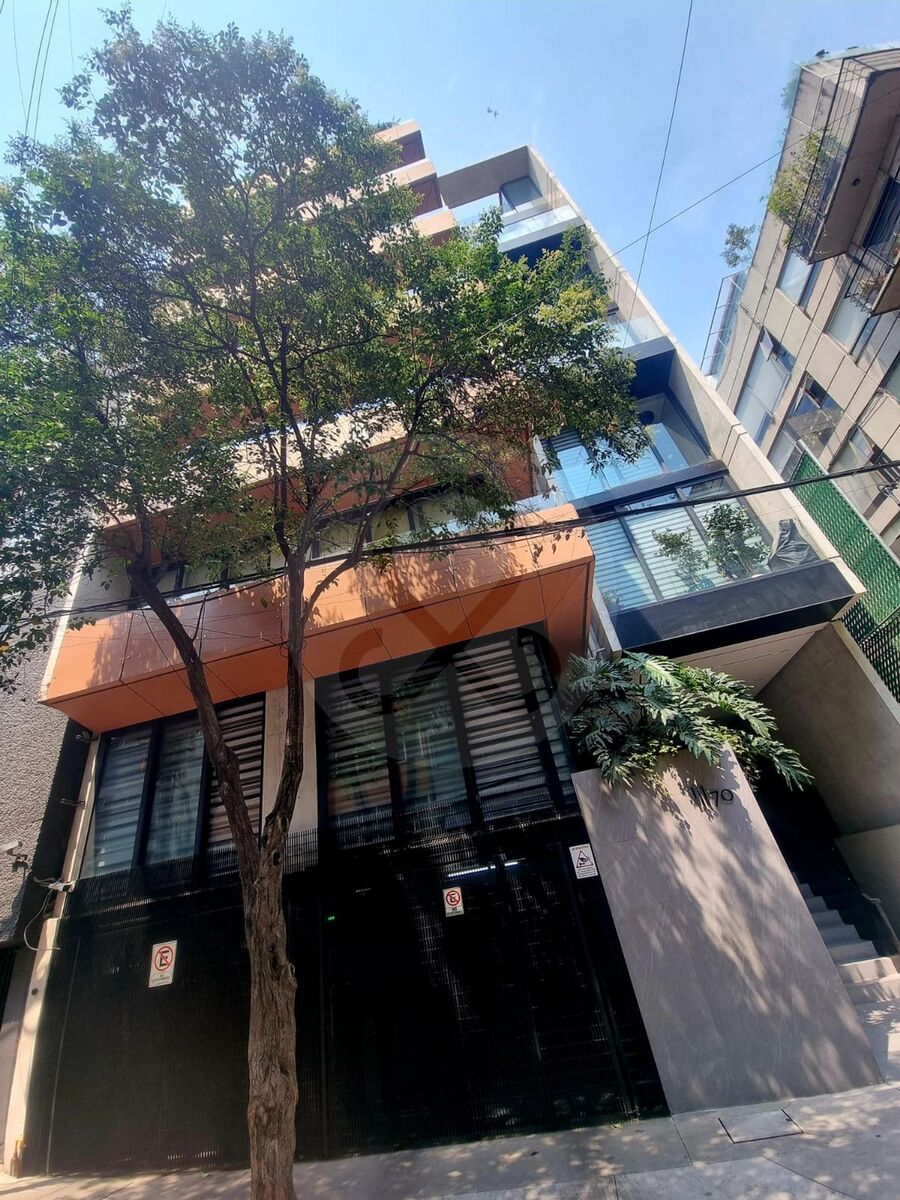 11 de 12