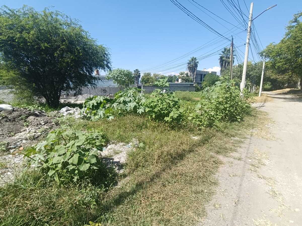 1 de 5