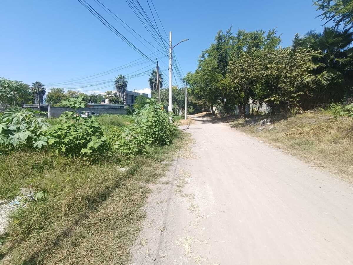 5 de 5