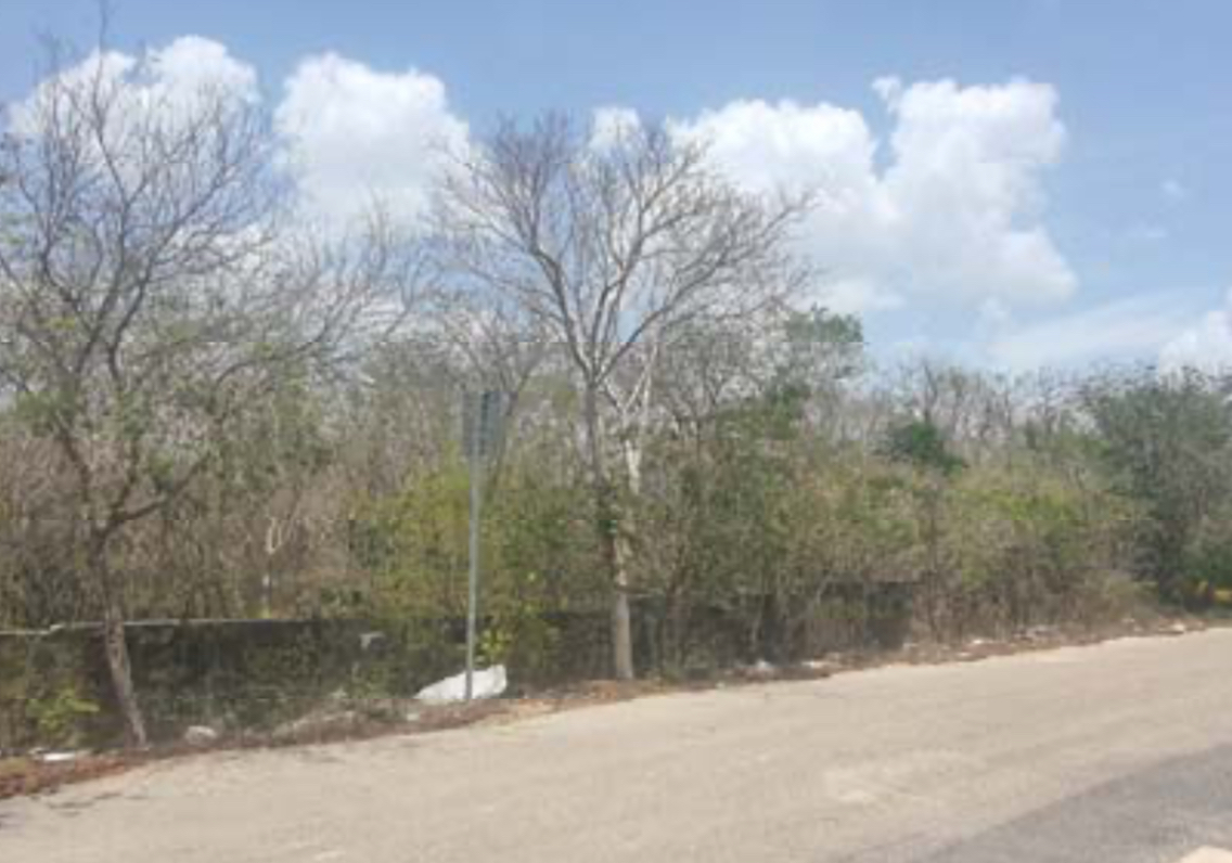 2 de 5: IMÁGENES PARA FINES ILUSTRATIVOS