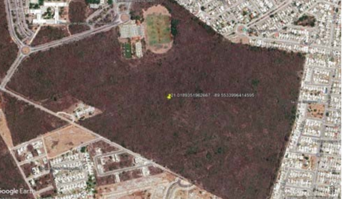 4 de 5: IMÁGENES PARA FINES ILUSTRATIVOS