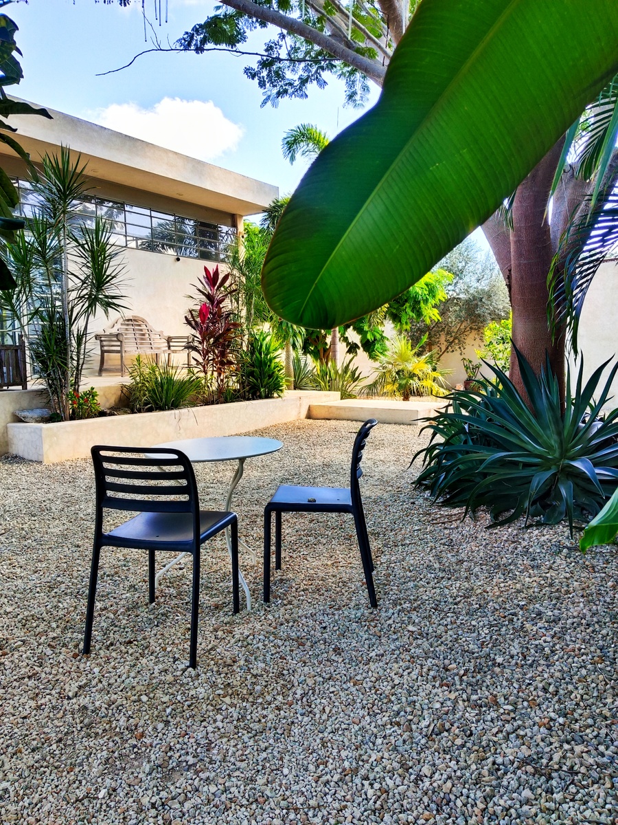 18 de 23: Jardín frontal