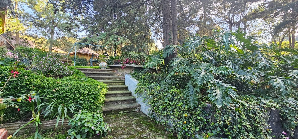 17 of 19: Escaleras subiendo a la casa