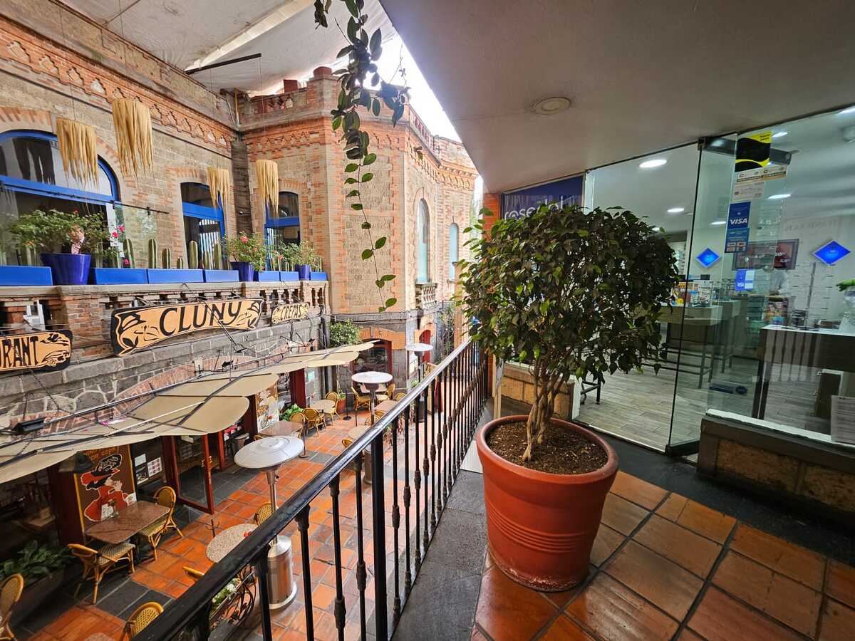 2 de 18: Local en Venta en Plaza San Ángel Tips Inmobiliarios ®