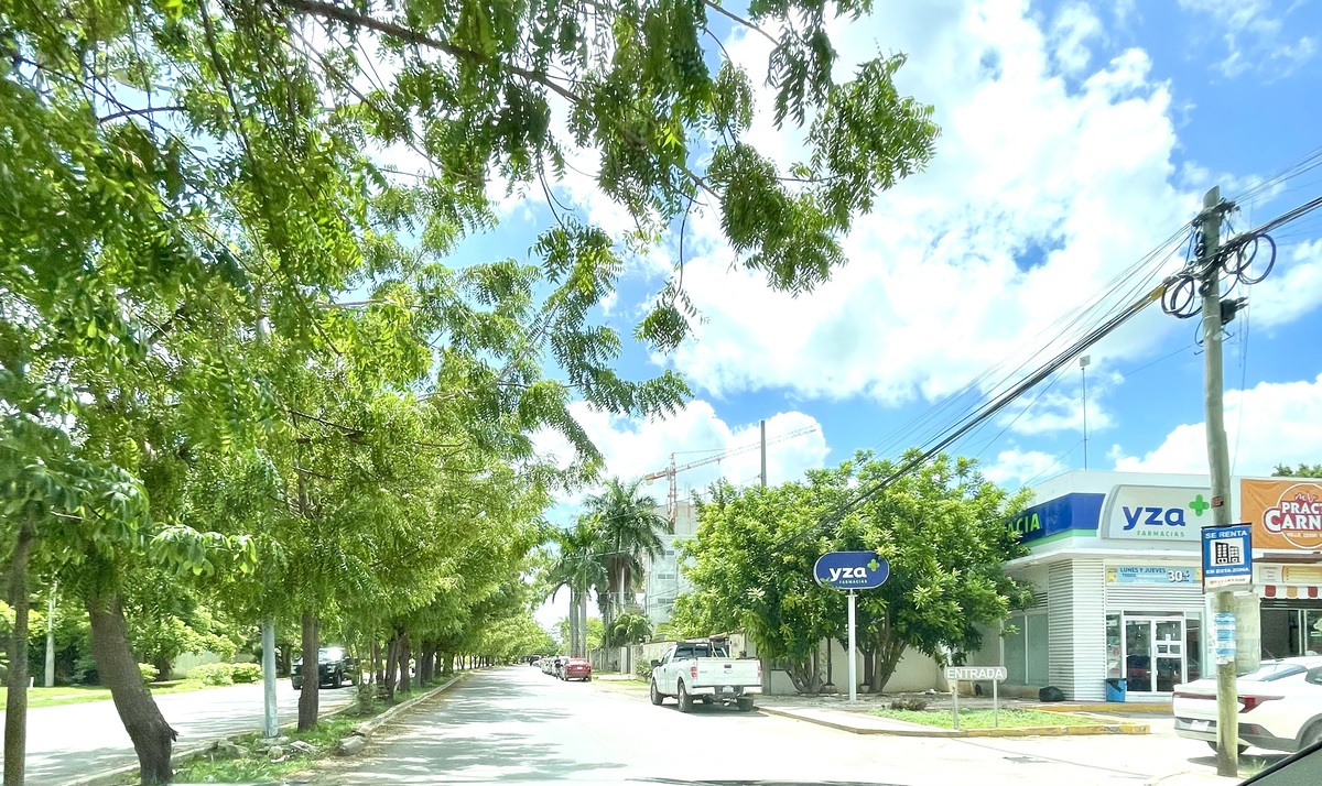 21 de 25: Entorno, servicios a metros de la privada