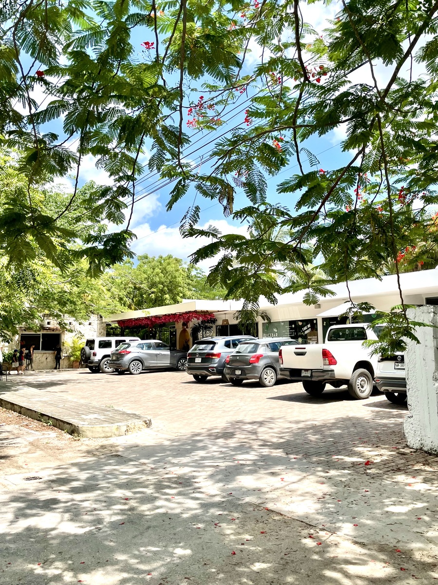 23 de 23: Restaurantes y vida social cerca