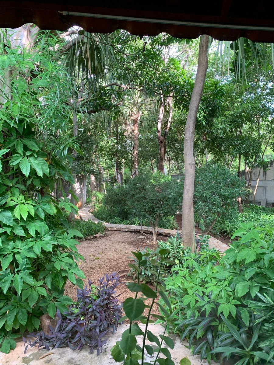 26 de 46: Jardín