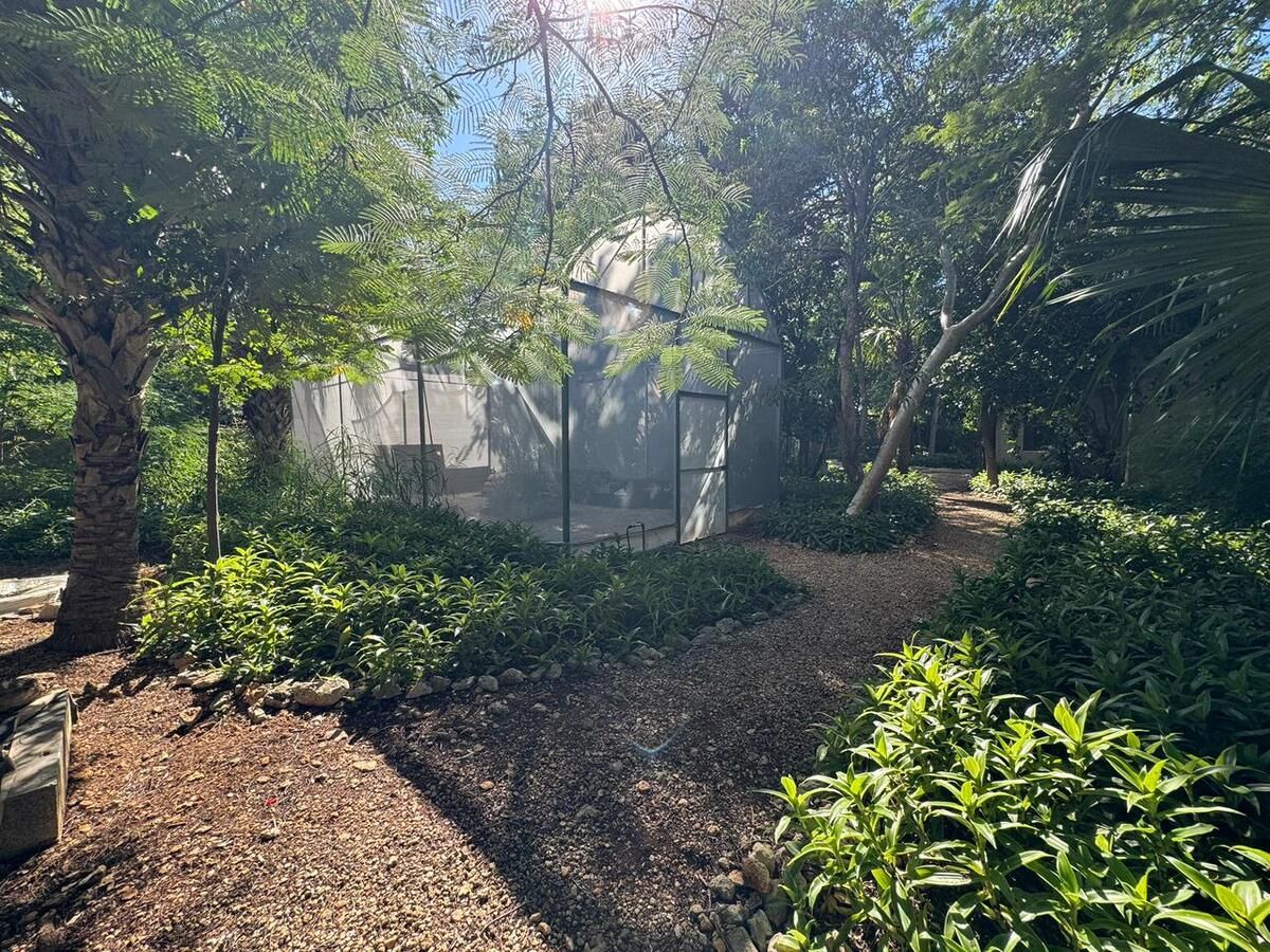 31 de 46: Vivero