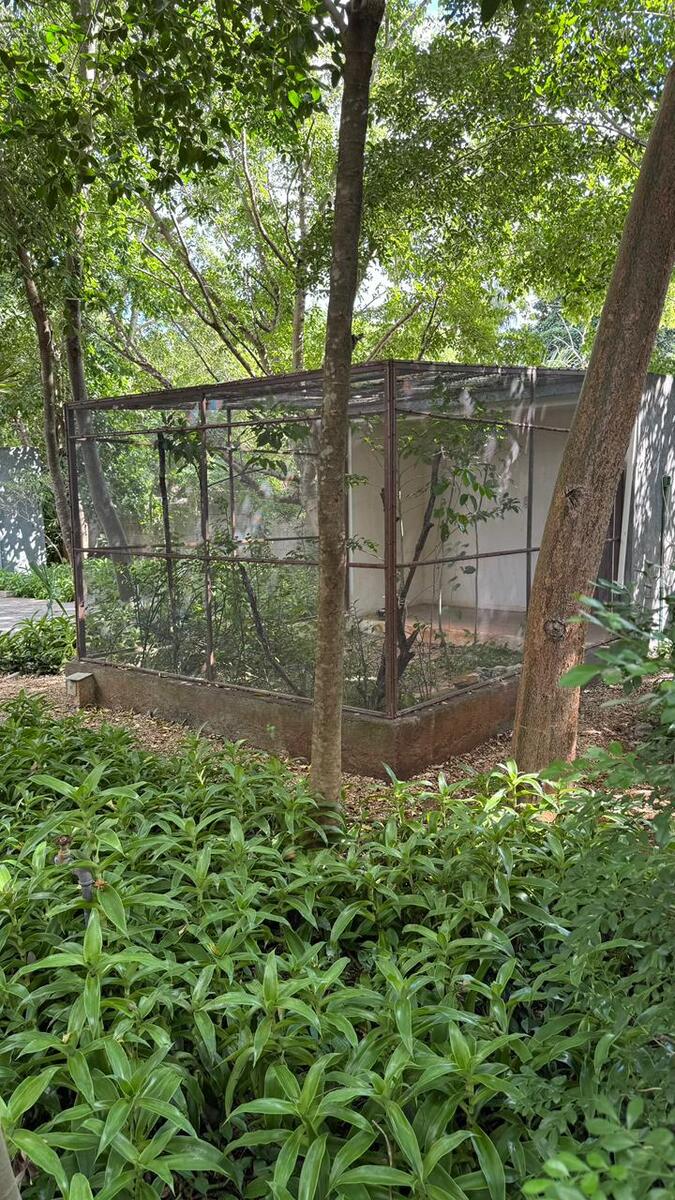 37 de 41: Jaula para pájaros