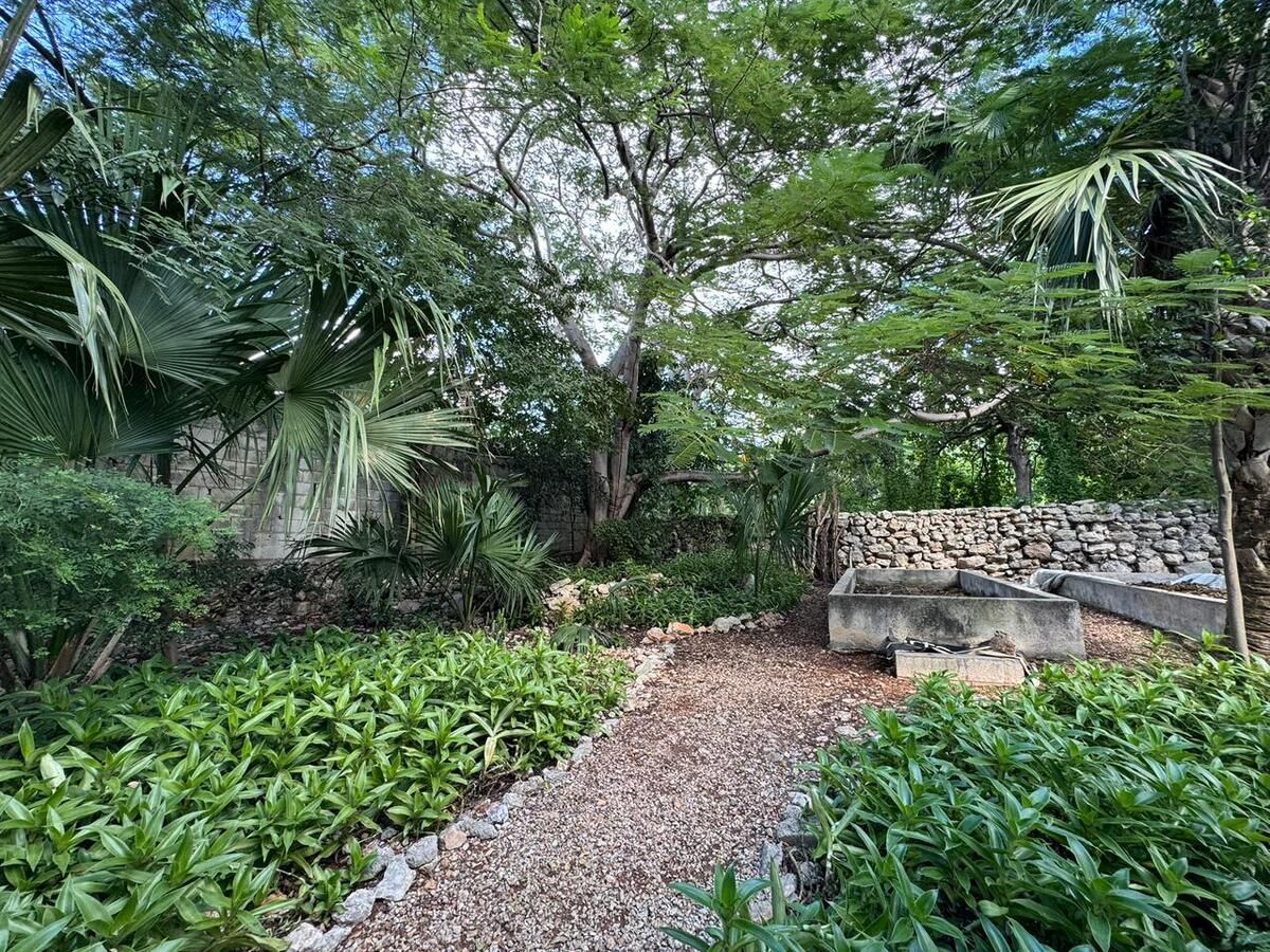 jardines, foto 34 de 46