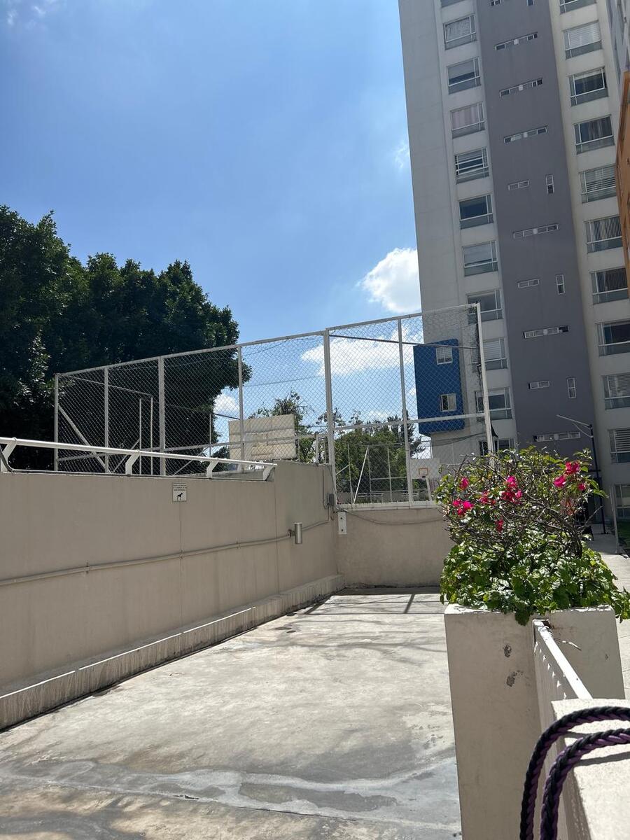 35 de 37: área de mascotas