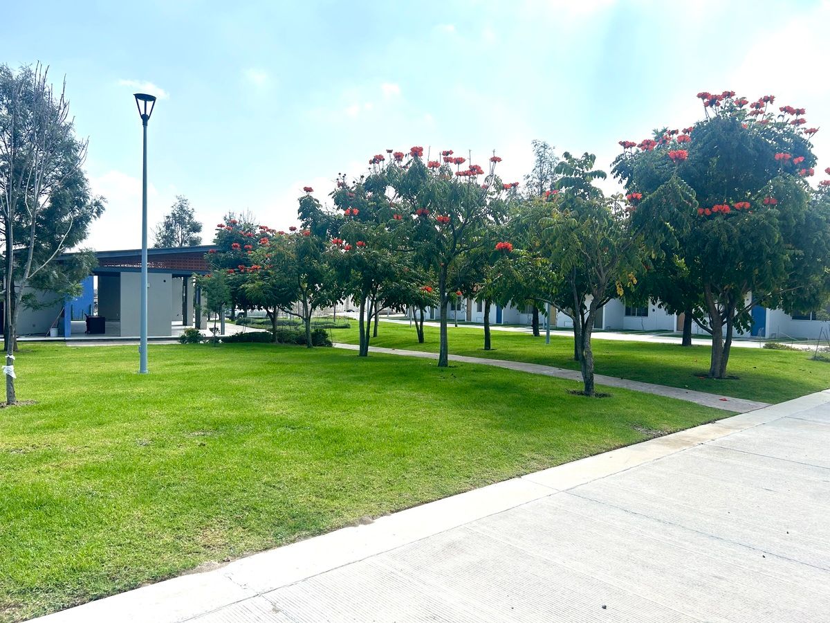 3 de 27: Áreas verdes