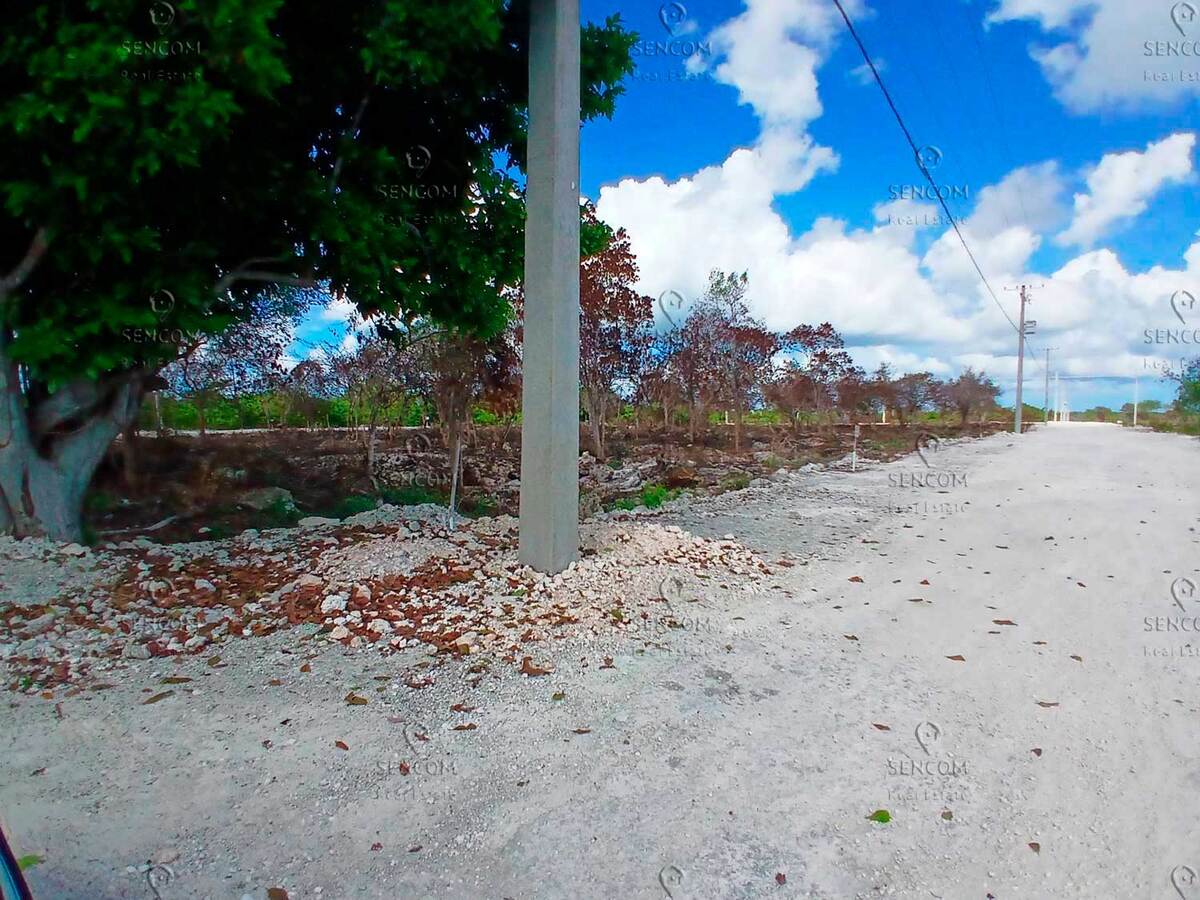 6 de 6: Venta-Terreno-Bavaro-Rosa-Palma-6