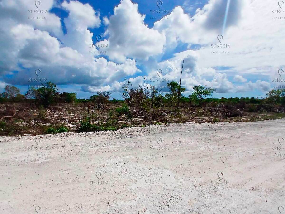 4 de 6: Venta-Terreno-Bavaro-Rosa-Palma-4