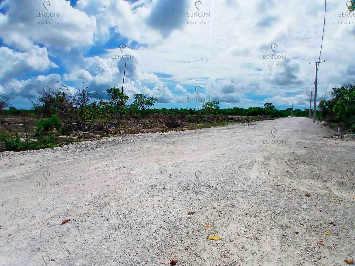 5 de 6: Venta-Terreno-Bavaro-Rosa-Palma-5