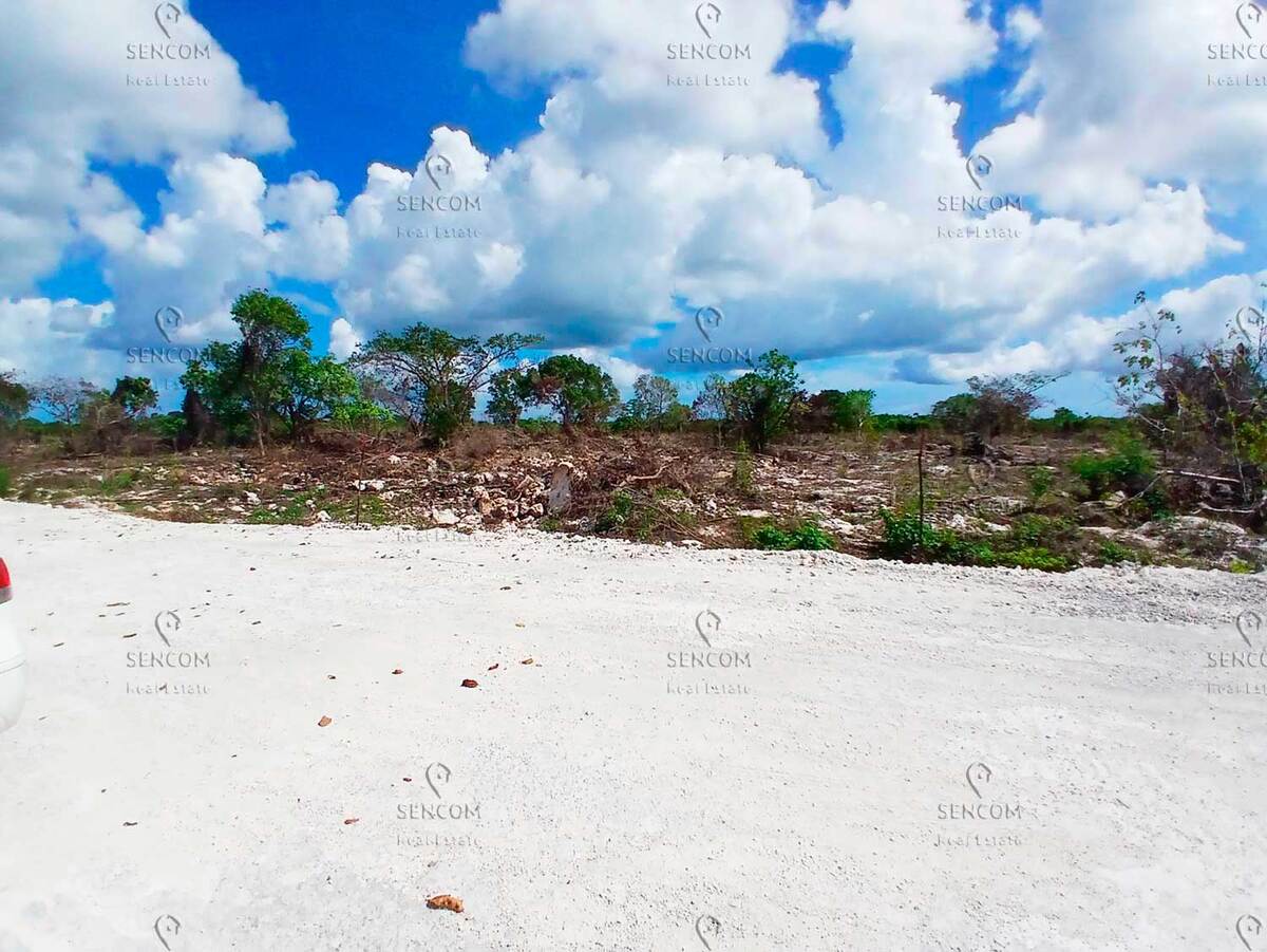 2 de 6: Venta-Terreno-Bavaro-Rosa-Palma-2