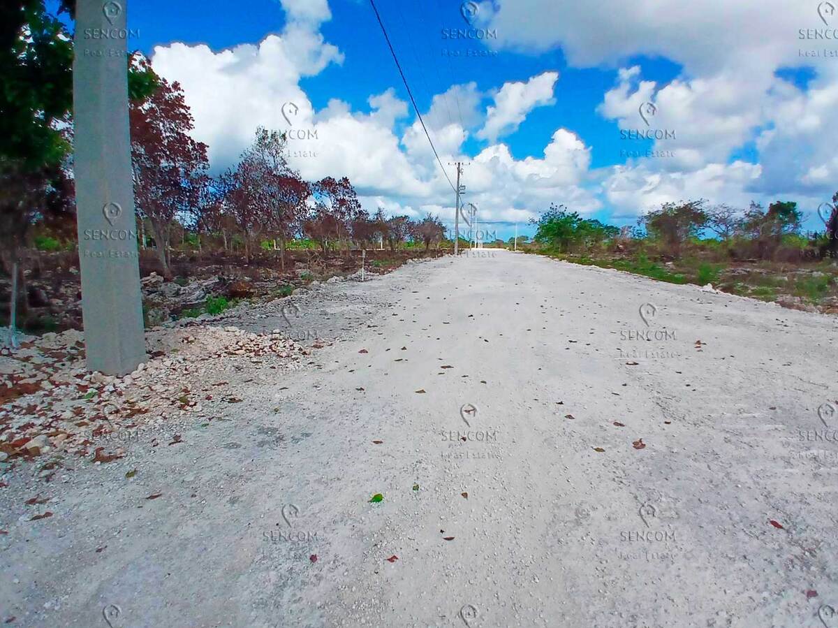 1 de 6: Venta-Terreno-Bavaro-Rosa-Palma-1