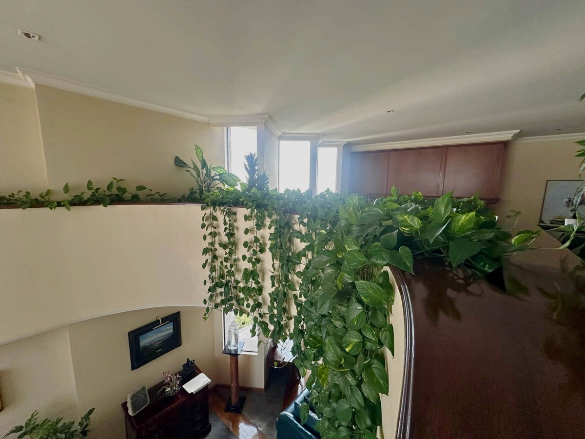 19 de 26: Departamento en Venta en Polanco Rayo Vende ®