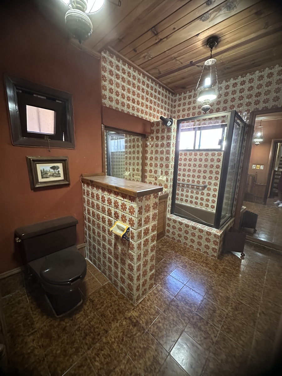 12 de 41: BAÑO PLANTA BAJA