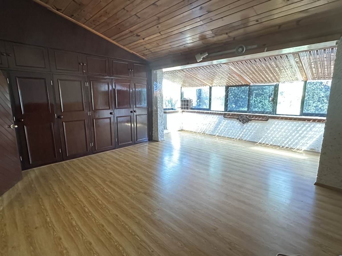 19 de 41: REC PRINCIPAL