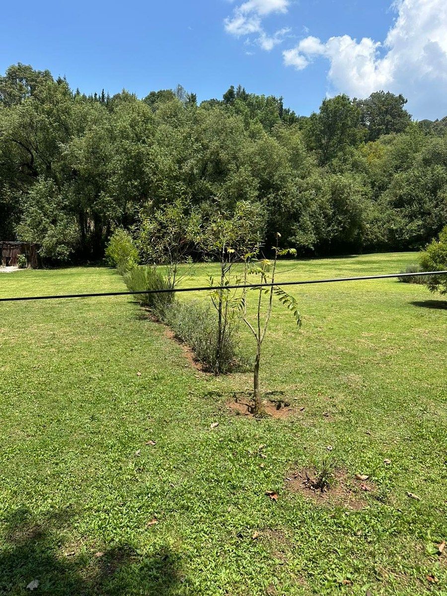 Lote em San Mateo Acatitlán, Valle de Bravo, foto 6 de 8