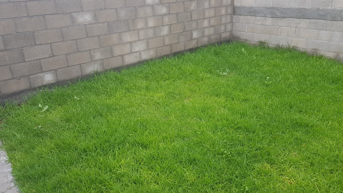 10 of 39: Jardin trasero