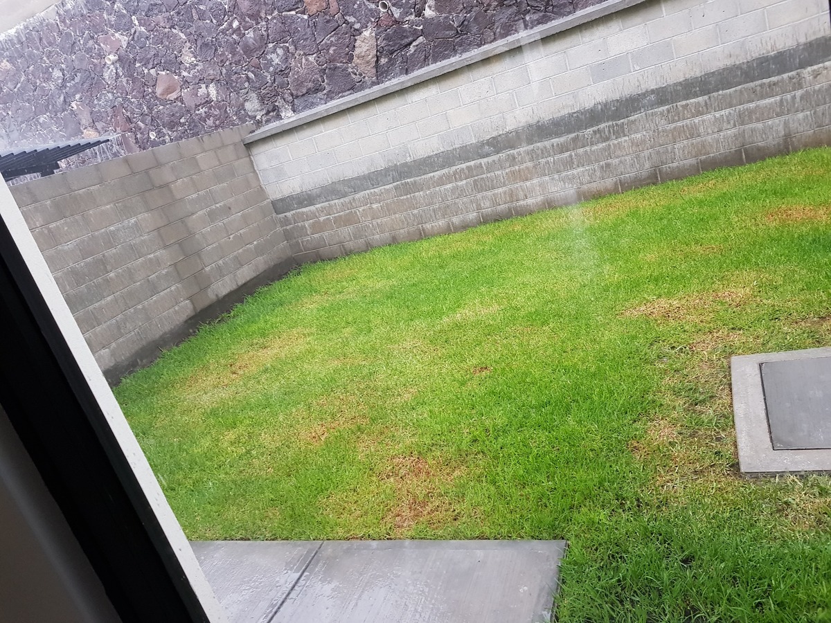 30 of 39: Jardin Trasero