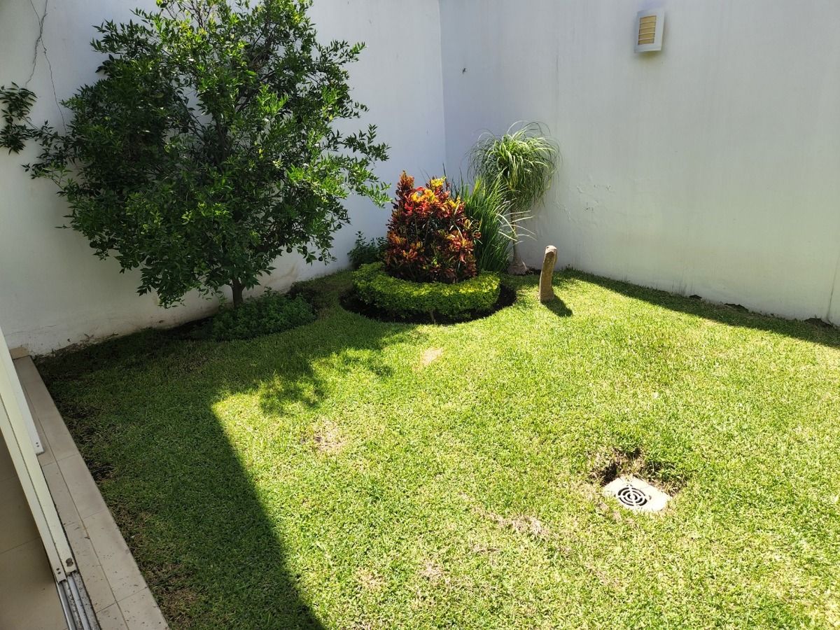 6 de 10: jardin