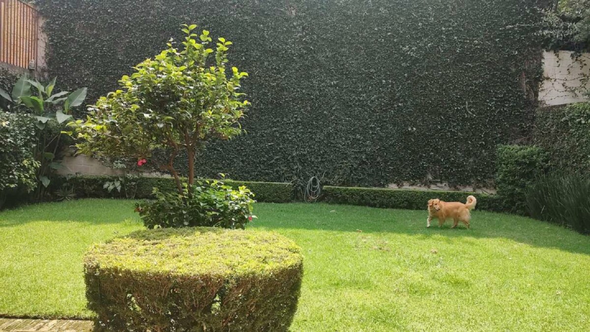 11 de 20: Casa en Venta en Jardines en la Montaña Rayo Vende ®