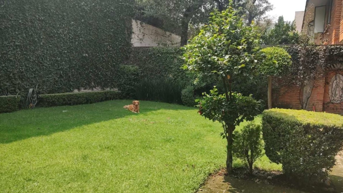 12 de 20: Casa en Venta en Jardines en la Montaña Rayo Vende ®