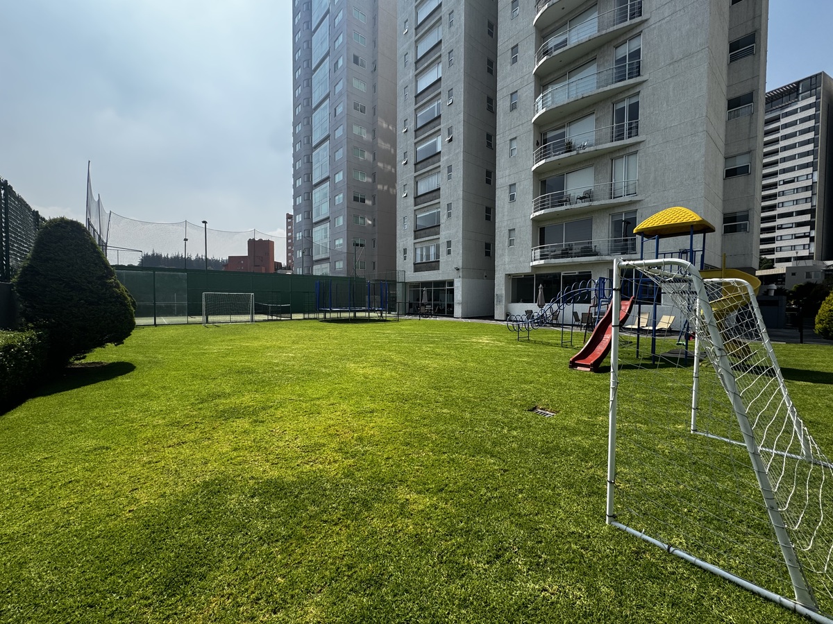 27 de 48: Jardín trasero