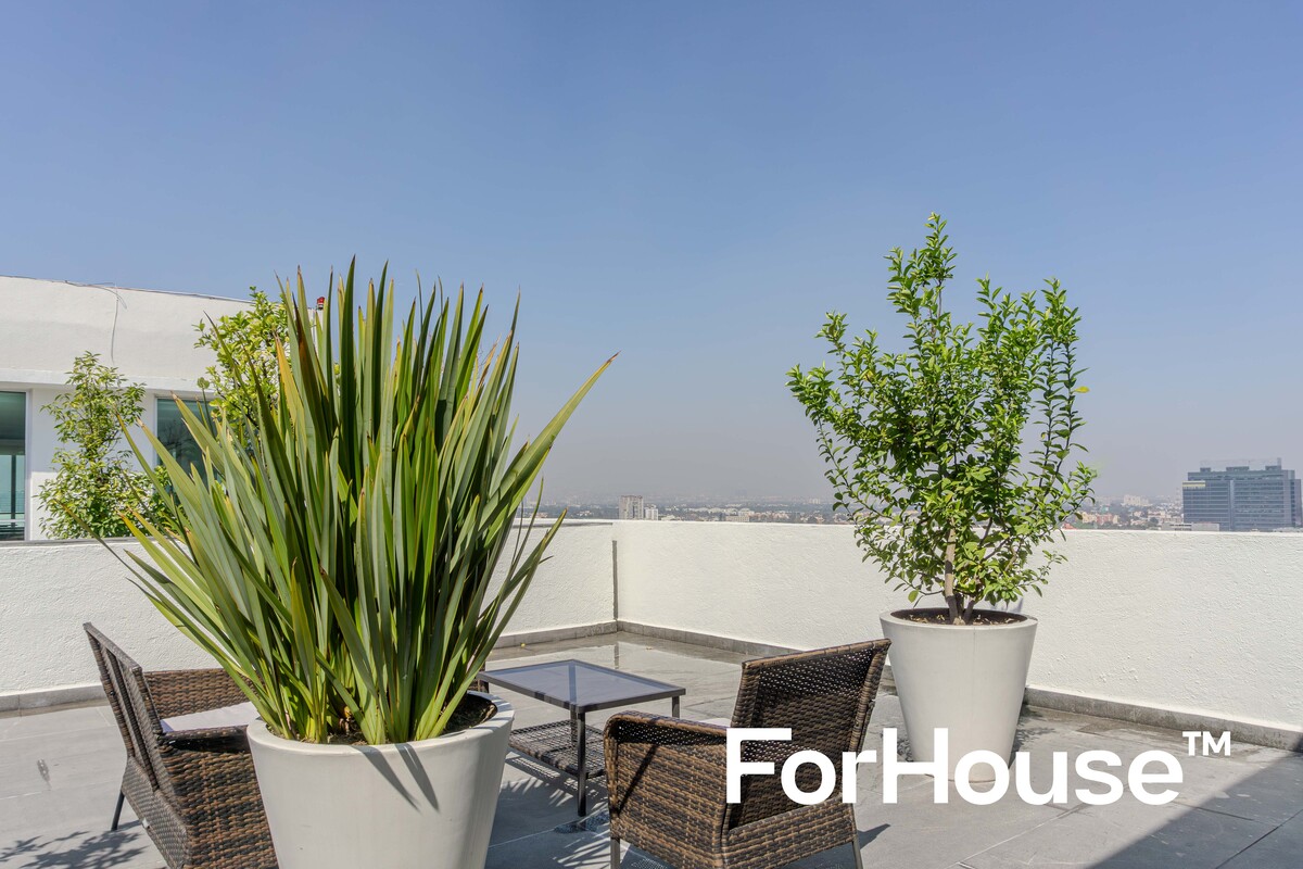 22 de 23: Terraza Lounge