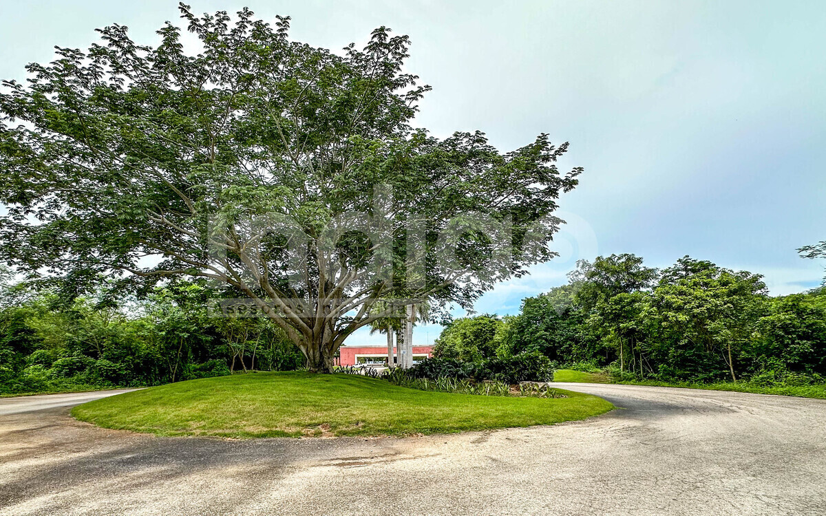 2 de 36: Rotonda de Acceso