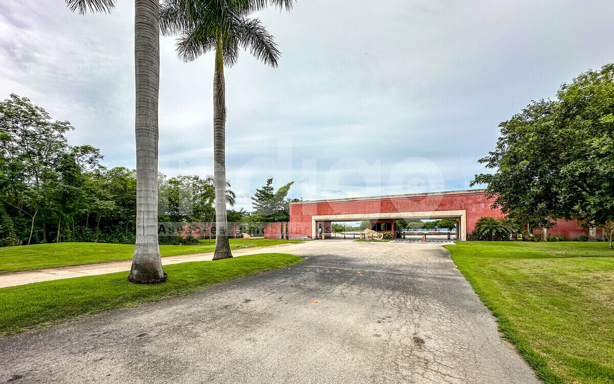 3 de 36: Avenida de Acceso