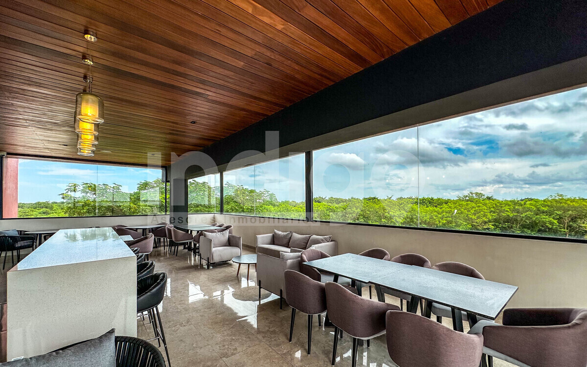 23 de 36: Vista desde el Bar