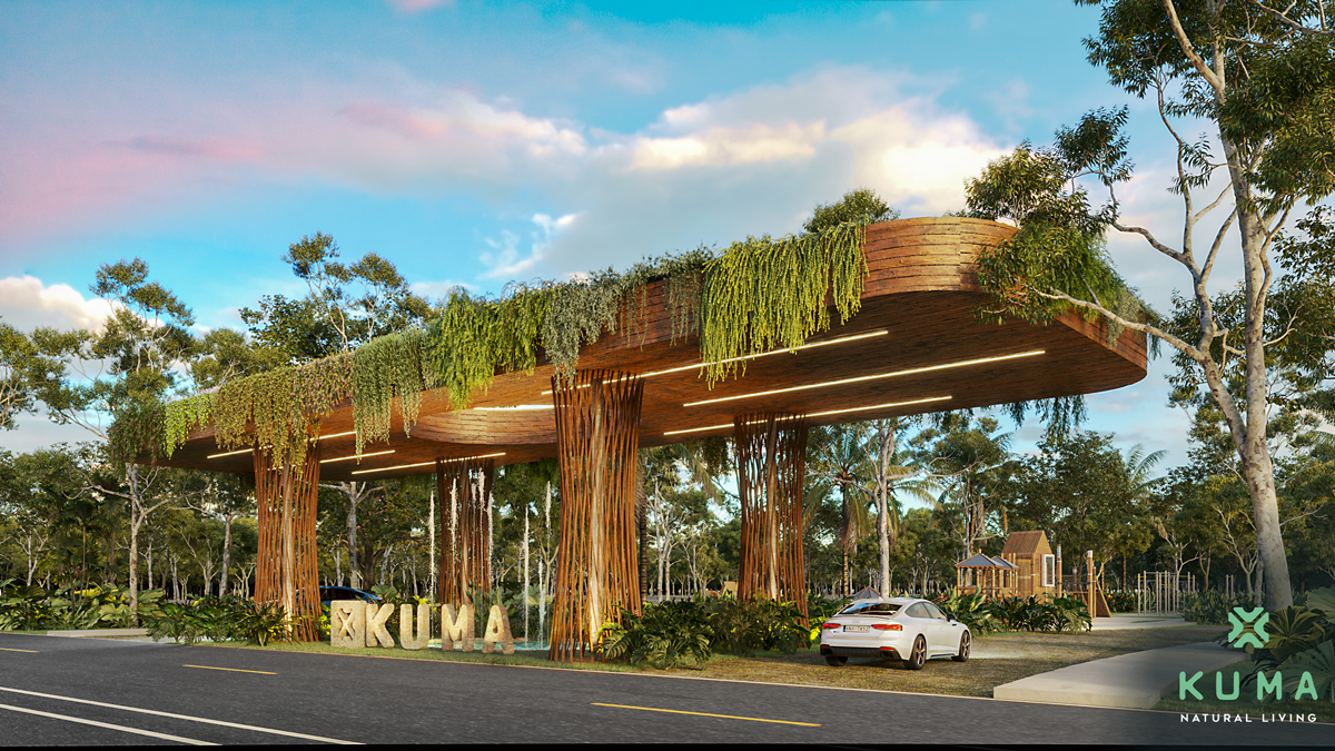 7 de 11: ESTE SERA SU PORTICO DE ACCESO