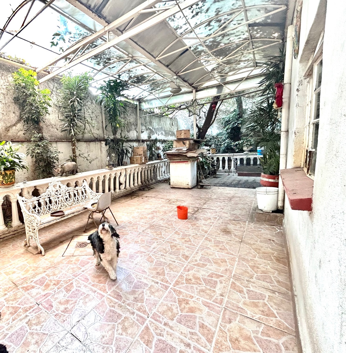 3 de 16: Casa en Venta en Del Valle Centro Tips Inmobiliarios ®