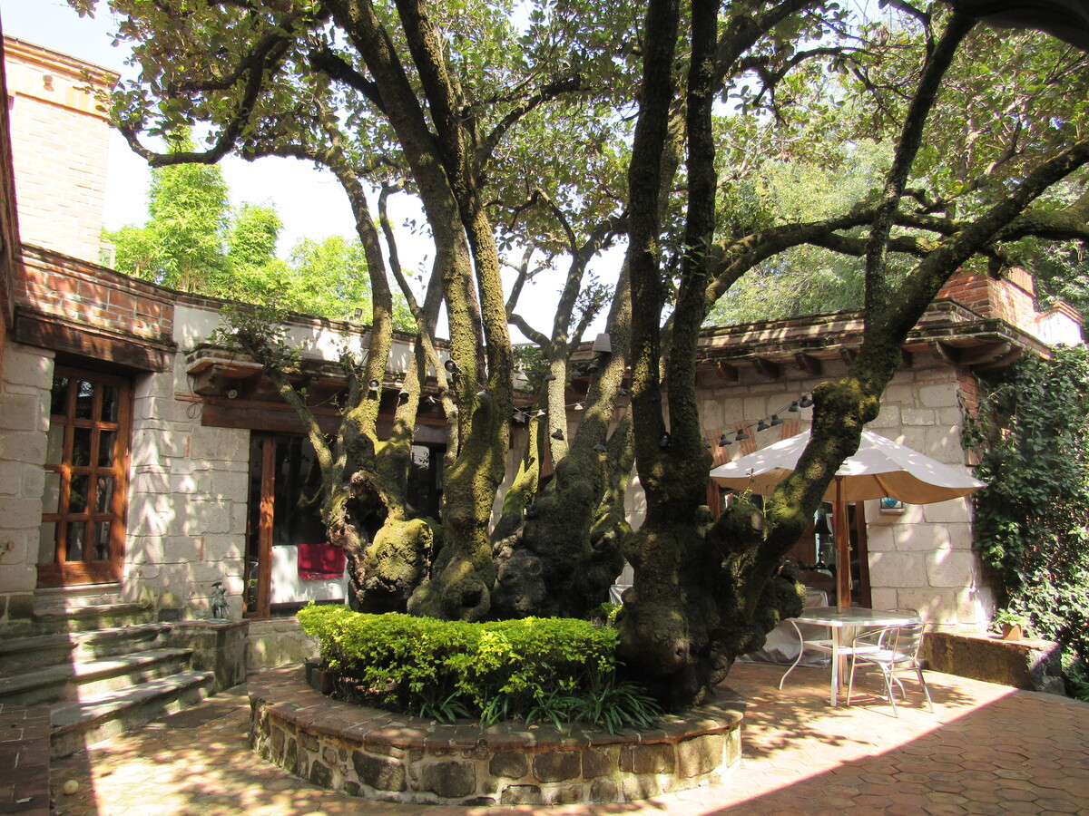 7 de 28: Casa en Venta en Jardines del Pedregal Rayo Vende ®