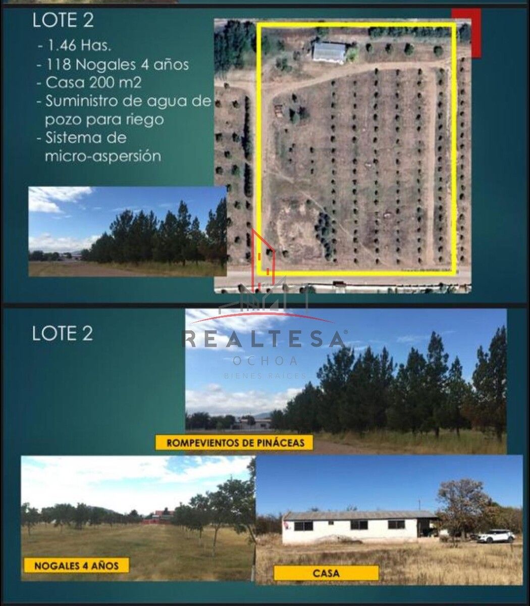 4 de 4