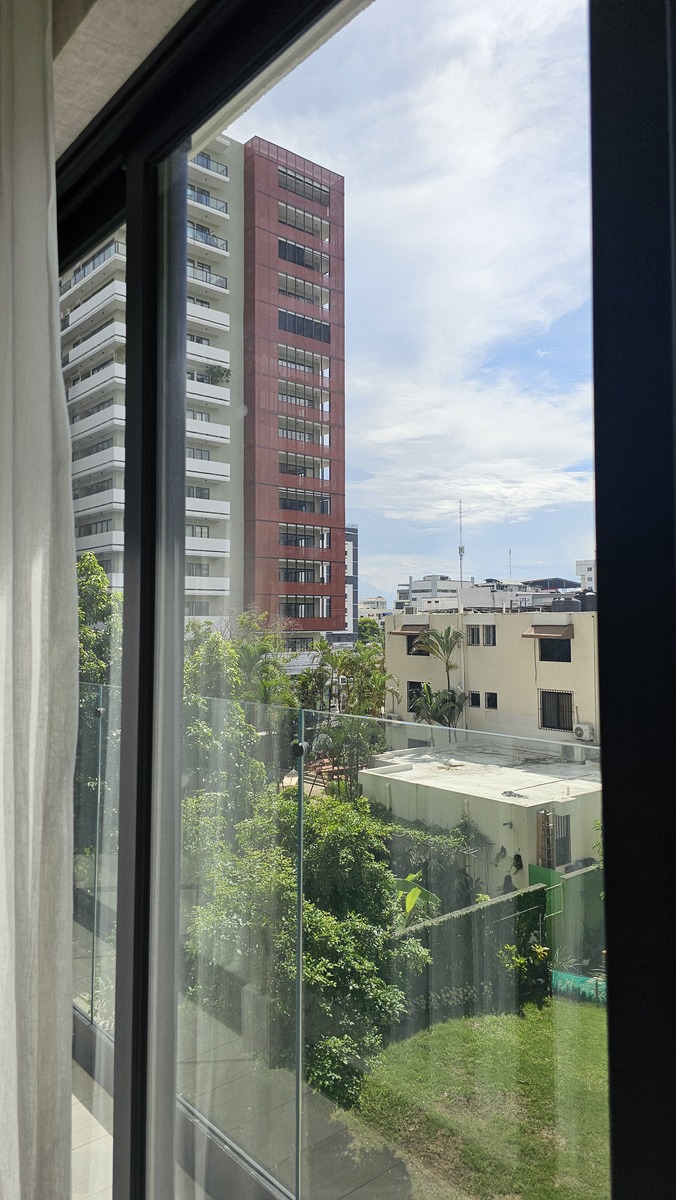 31 de 50: Vista a Piantini