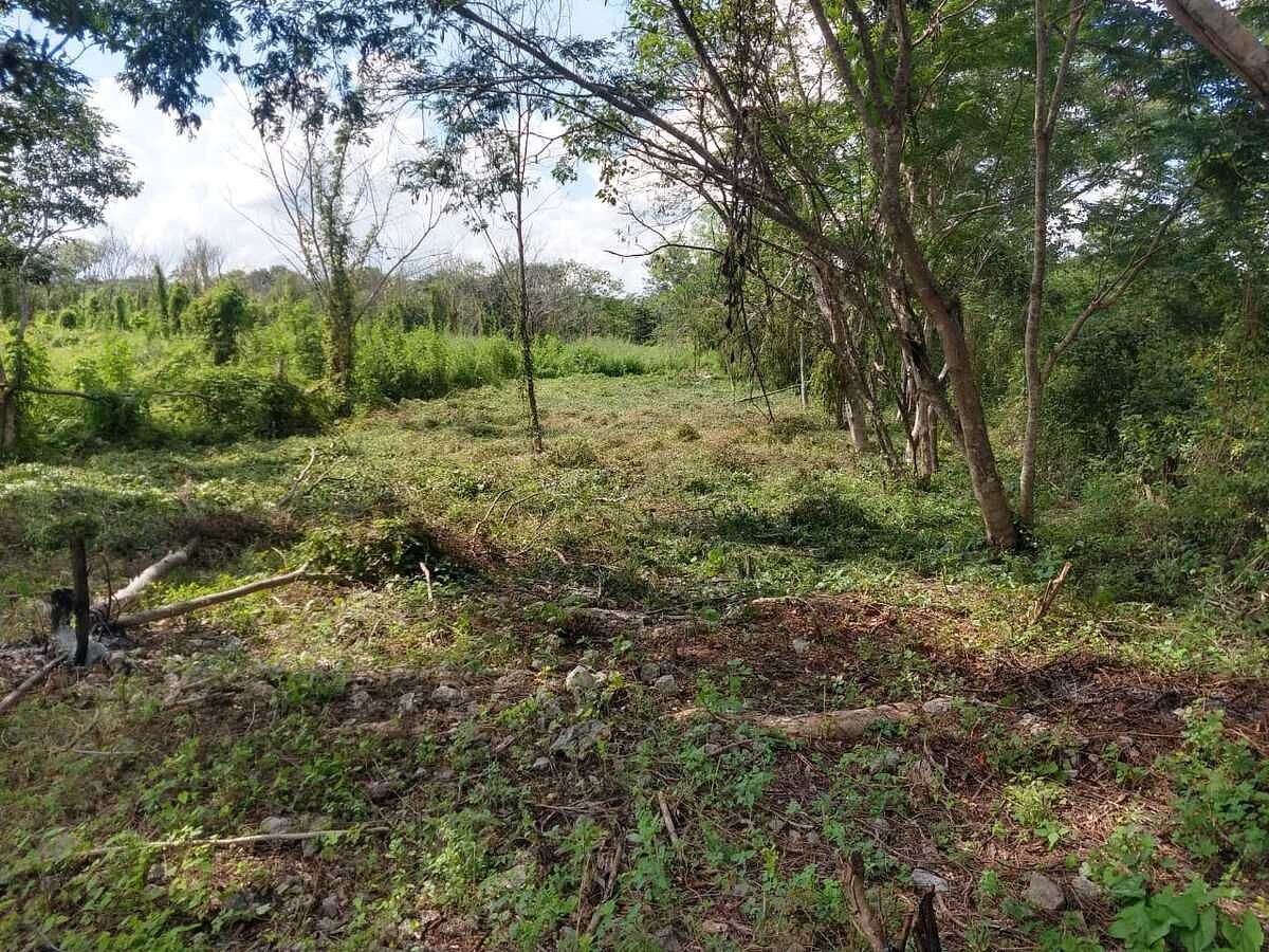 Lote em Dzununcán, Mérida, foto 3 de 13