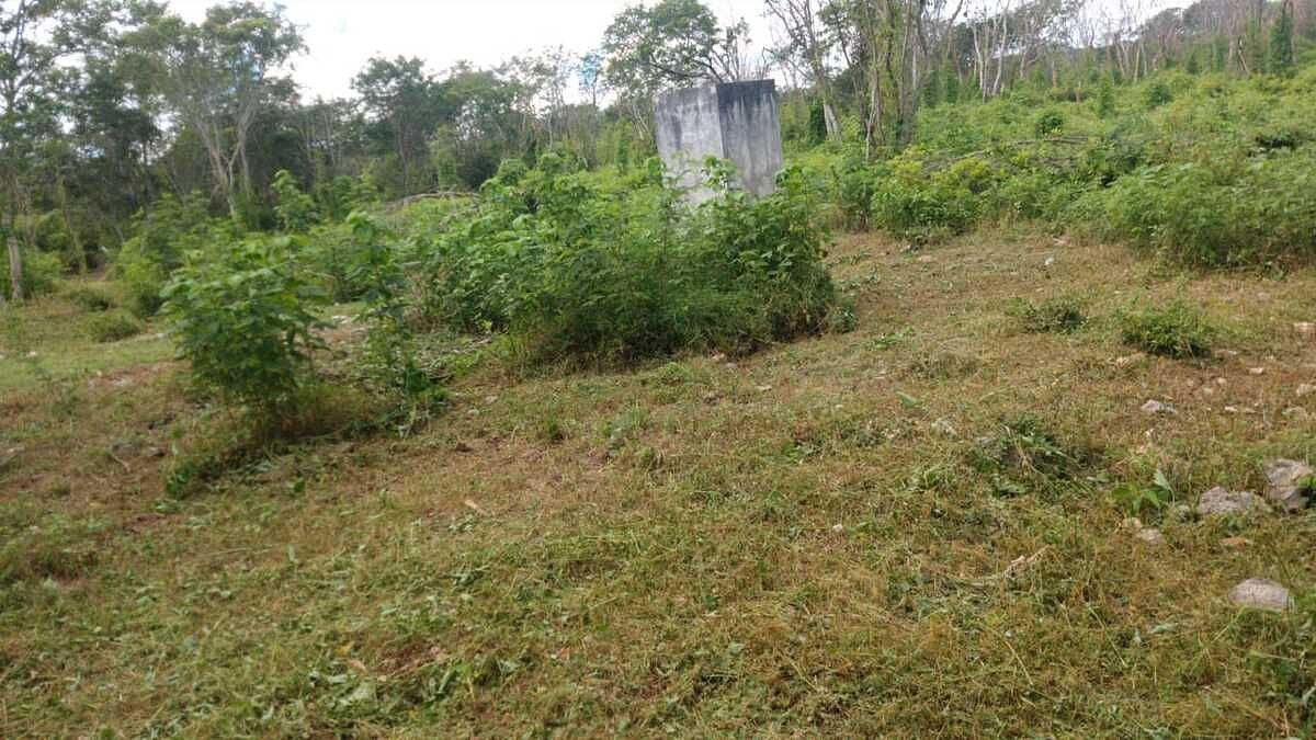 Lote em Dzununcán, Mérida, foto 7 de 13