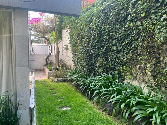 2 of 26: jardin lateral