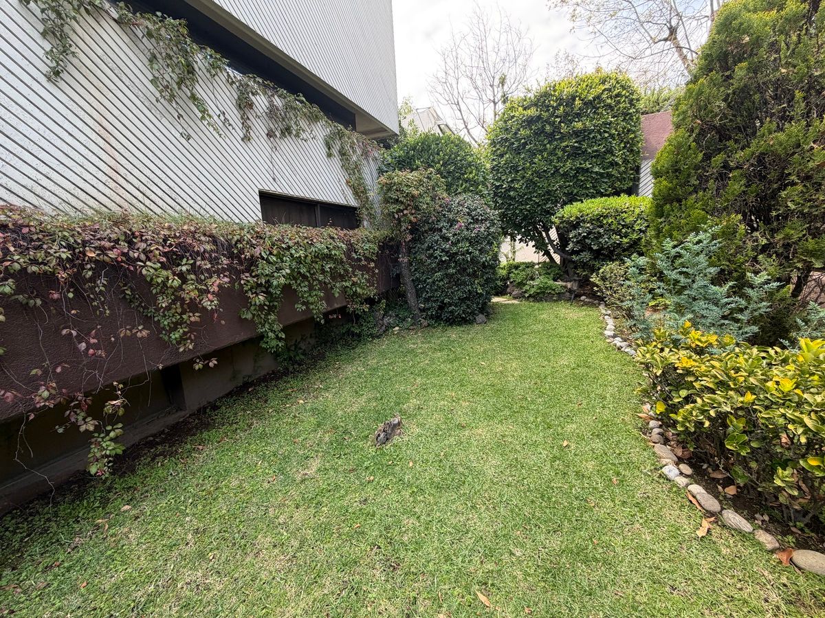 23 de 28: Jardín frontal