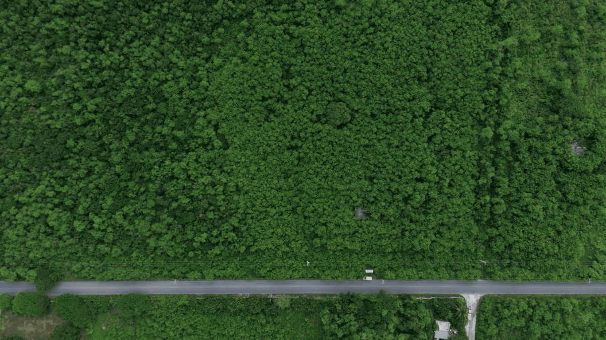 1 of 6: vista aerea del terreno 1