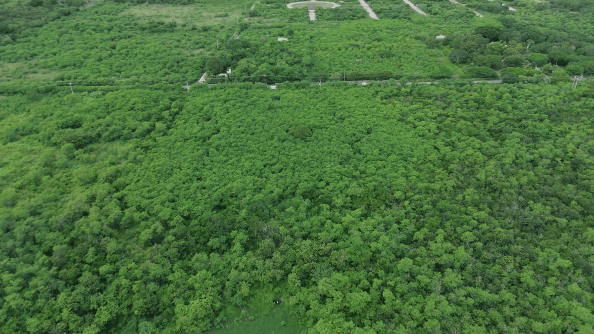 2 of 6: vista aerea del terreno 2